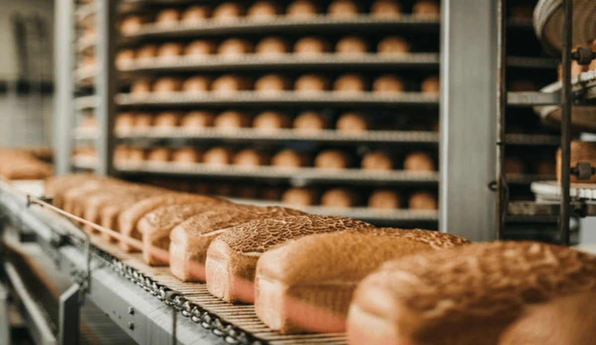 bread-manufacturing